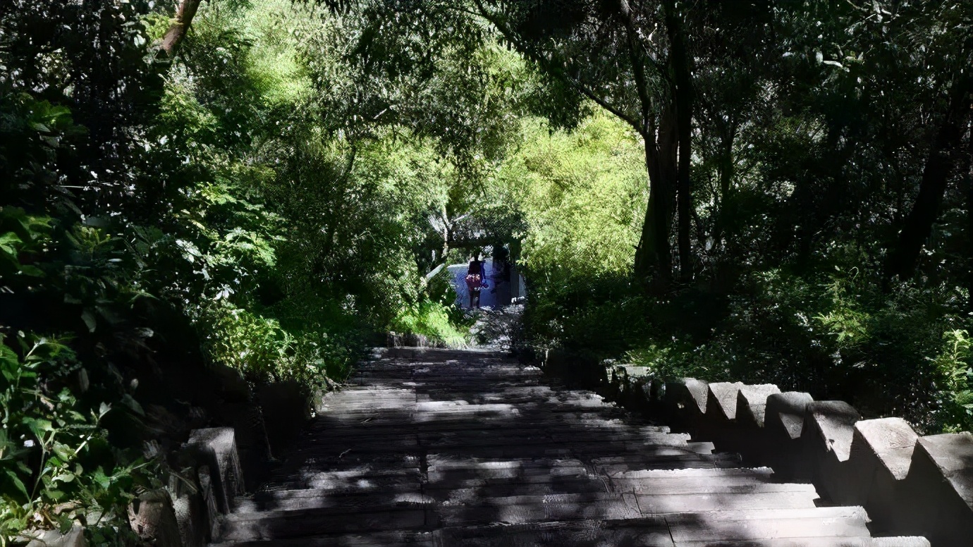 深圳免门票景点推荐,深圳市内近20个景点一票通玩