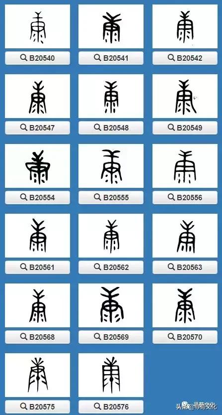 中华姓氏文化艺术字,汉字的艺术和中华姓氏文化