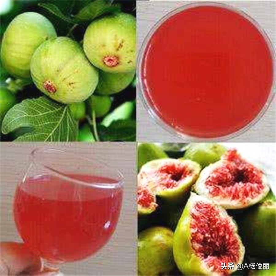 唐三镜果酒技术,唐三镜酿酒工艺教学