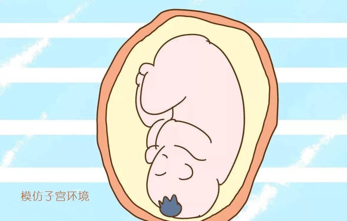 宝宝睡眠少怎么都哄不睡,宝宝睡眠浅易醒的改善方法吃什么