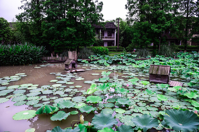 乌村暑期夏令营，吃喝玩乐在这里