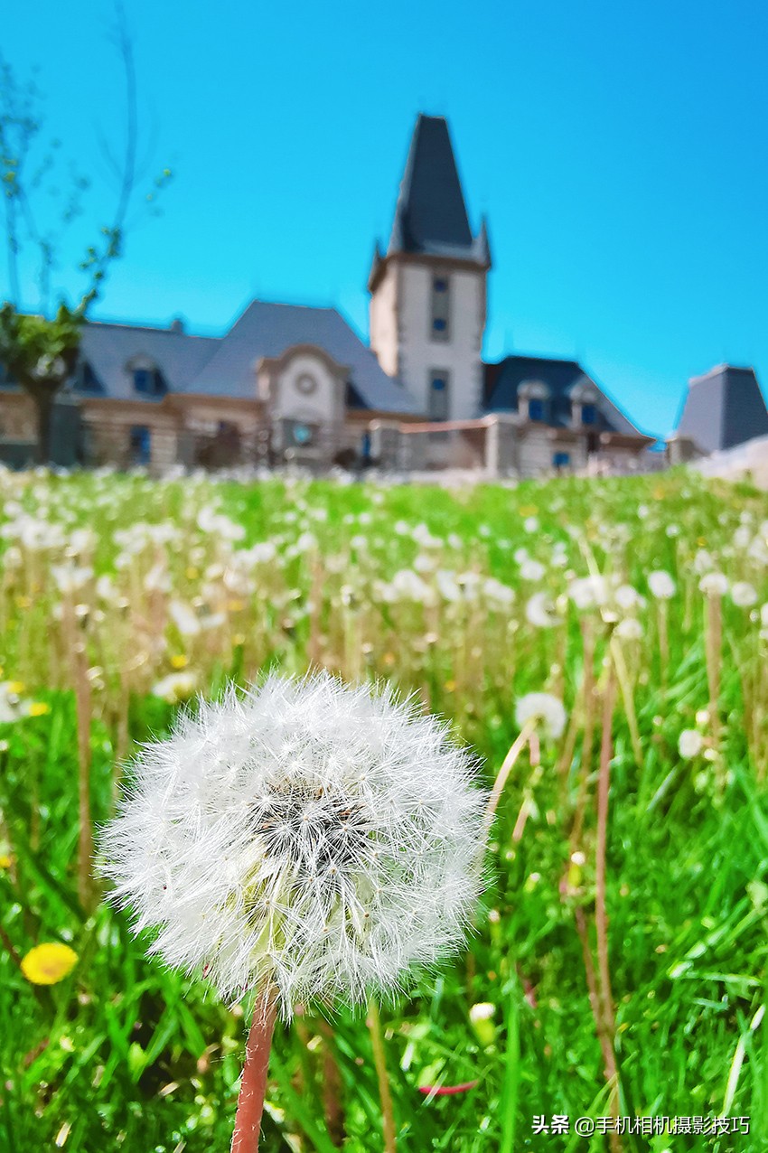照片偏黄怎么调回正常,怎么把一张偏黄的照片恢复正常