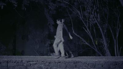 豆瓣netflix电影,bbc地球奇观纪录片