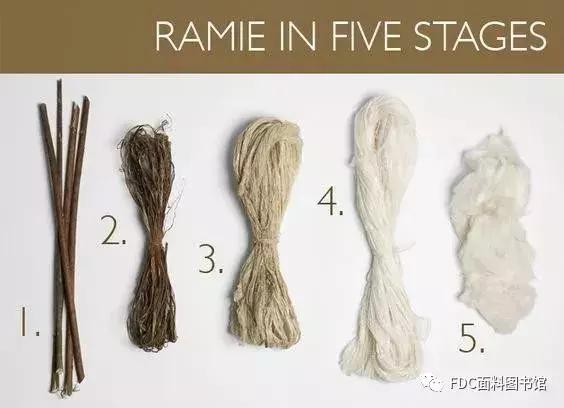 能用来制作面料的植物知多少？（下）