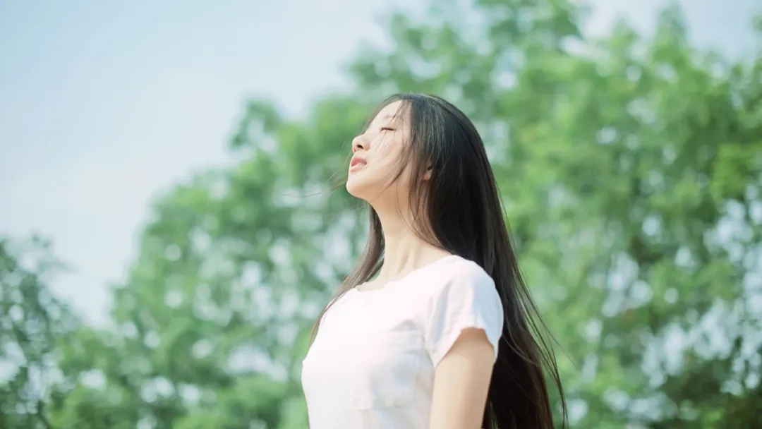 理想永远年轻我们终会相见,理想永远都年轻你还在坚持吗