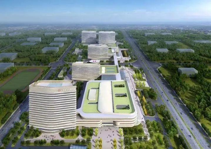 合肥“瑶新北”怒了