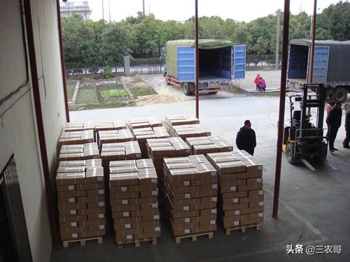 适合农村创业的项目一次性投资,农村创业项目排行榜小本生意投资