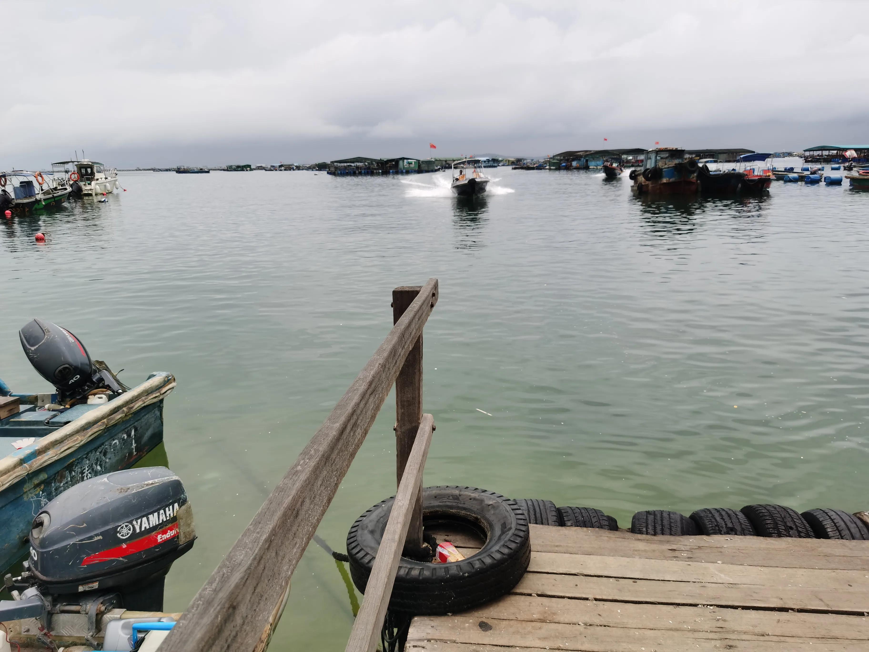 南澳海钓钓法大全,深圳大鹏南澳海钓视频