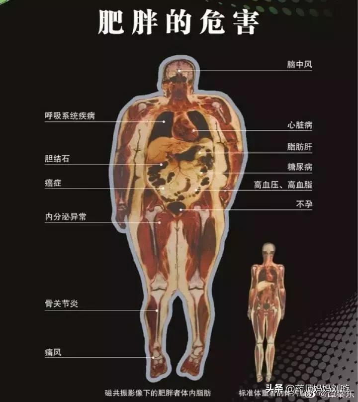 扒一扒减肥产品,扒一扒中国前世今生