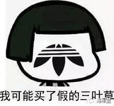 adidas单品,kenzo值得入手的鞋