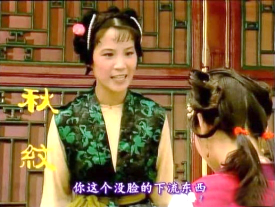 小小的*红院怡**，藏了一部甄嬛传，宝玉不认识林红玉就是明证