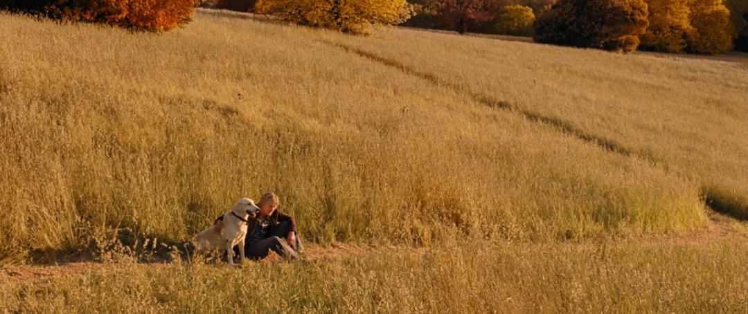 鑻嶇櫧娴疆,鑻嶇櫧娴疆涔愰槦
