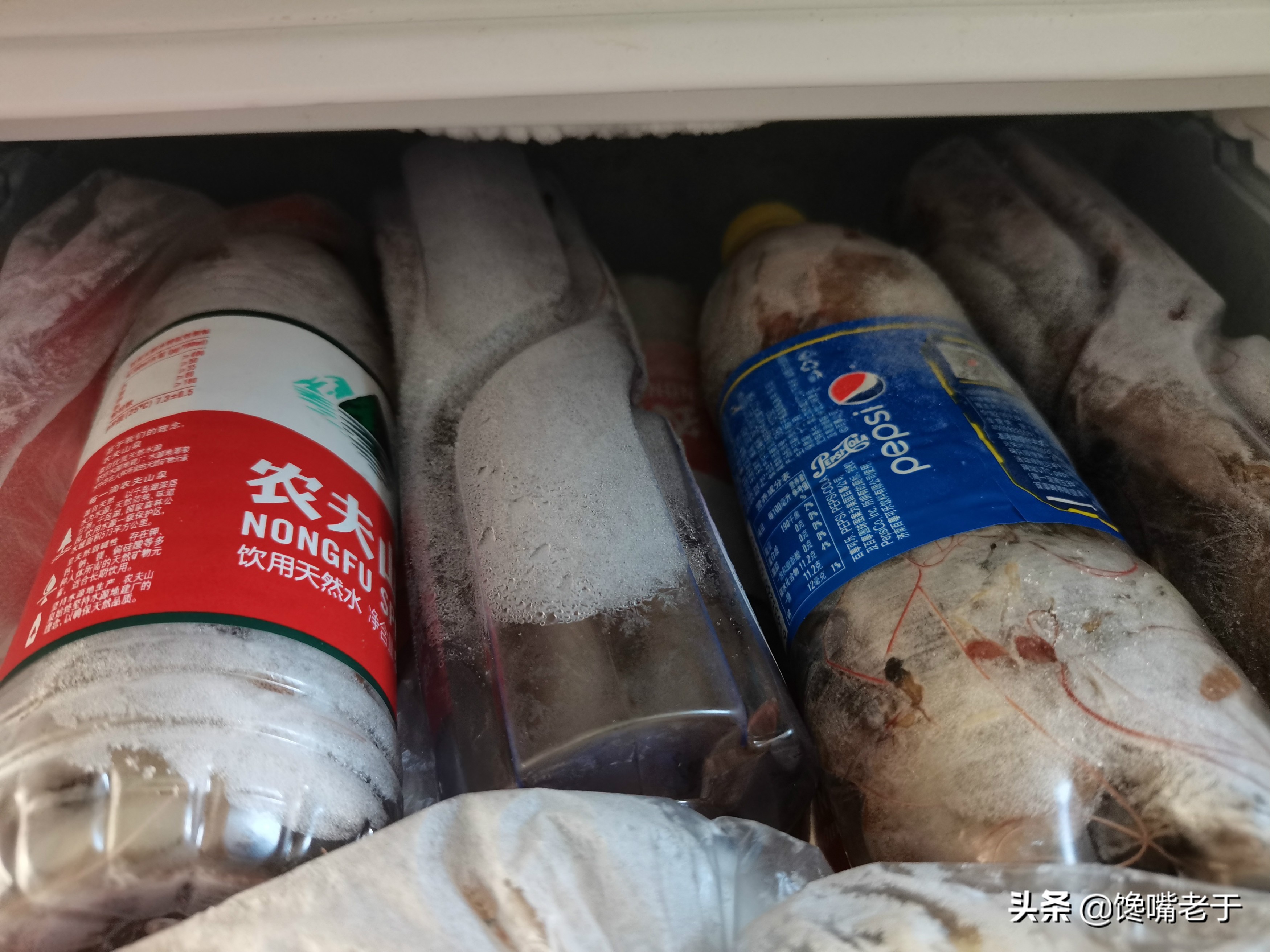 鲜虾怎么保存新鲜又长久,鲜虾活虾怎么保存