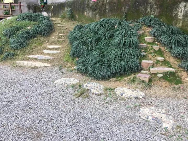 4.13重庆逐梦歌乐山上的“巴学园”探索“世界级乡村幼儿园