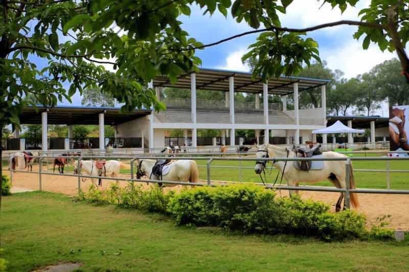 南宁普罗旺斯幼儿园学费,南宁伟才幼儿园学费价目表