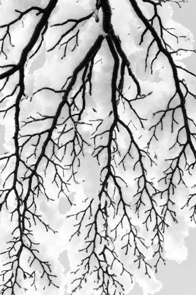 冰雪摄影实战推荐,雪地摄影前期参数