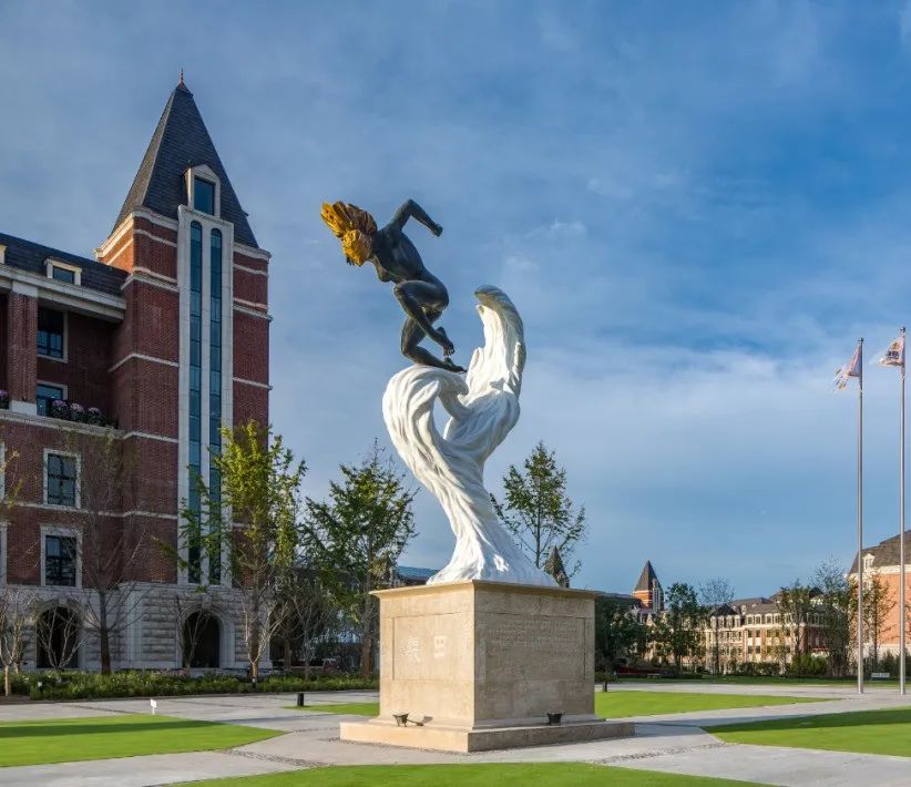 张维功：阳光的创业之路