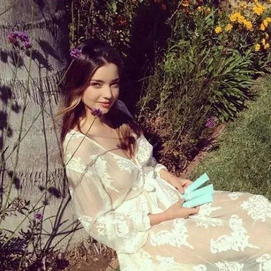 赵薇赵又廷,范冰冰杨幂高圆圆赵薇孙俪