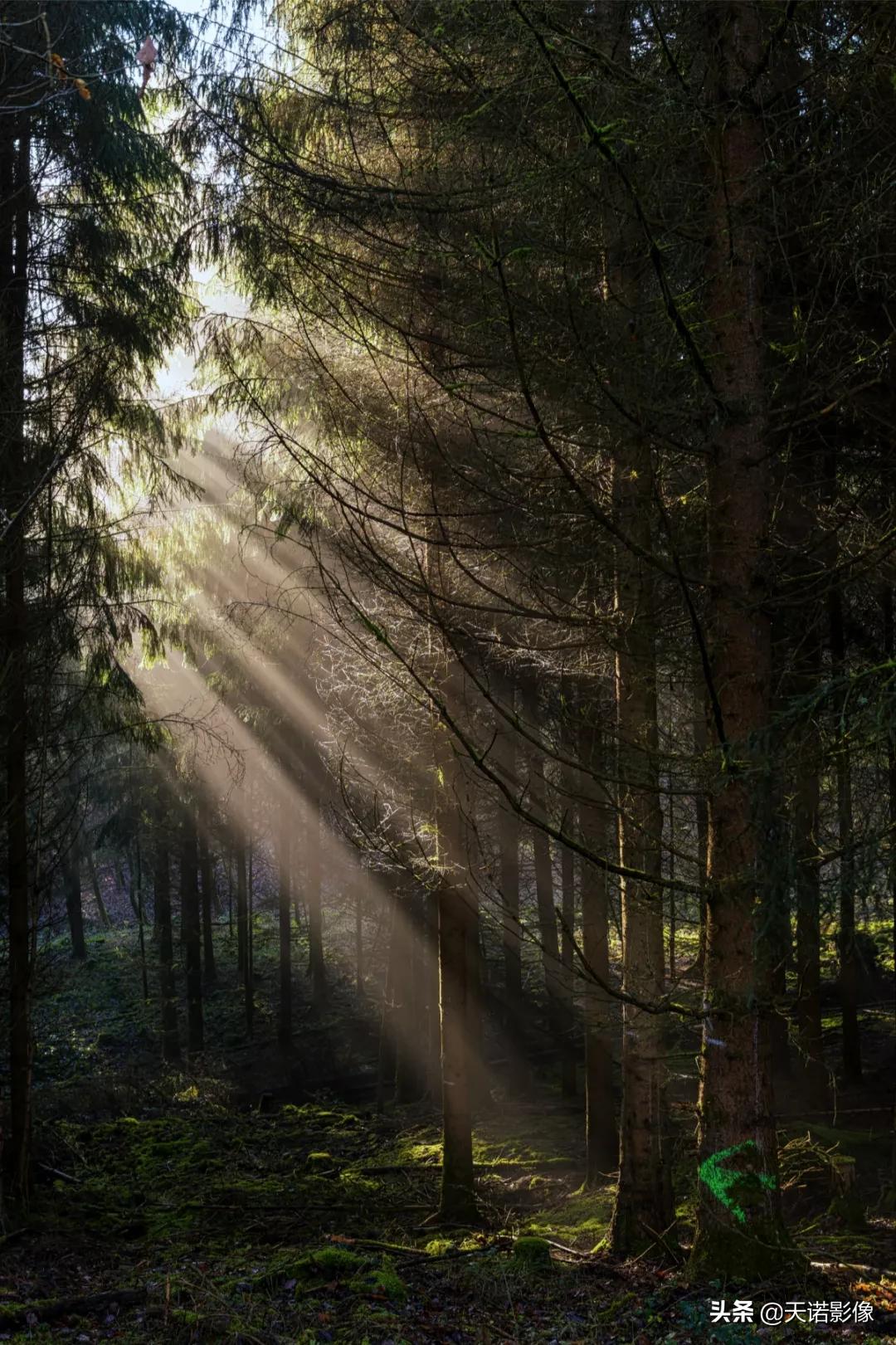 徕卡sl2-s文件格式选择,徕卡sl2-s佳能eosr5怎么选择