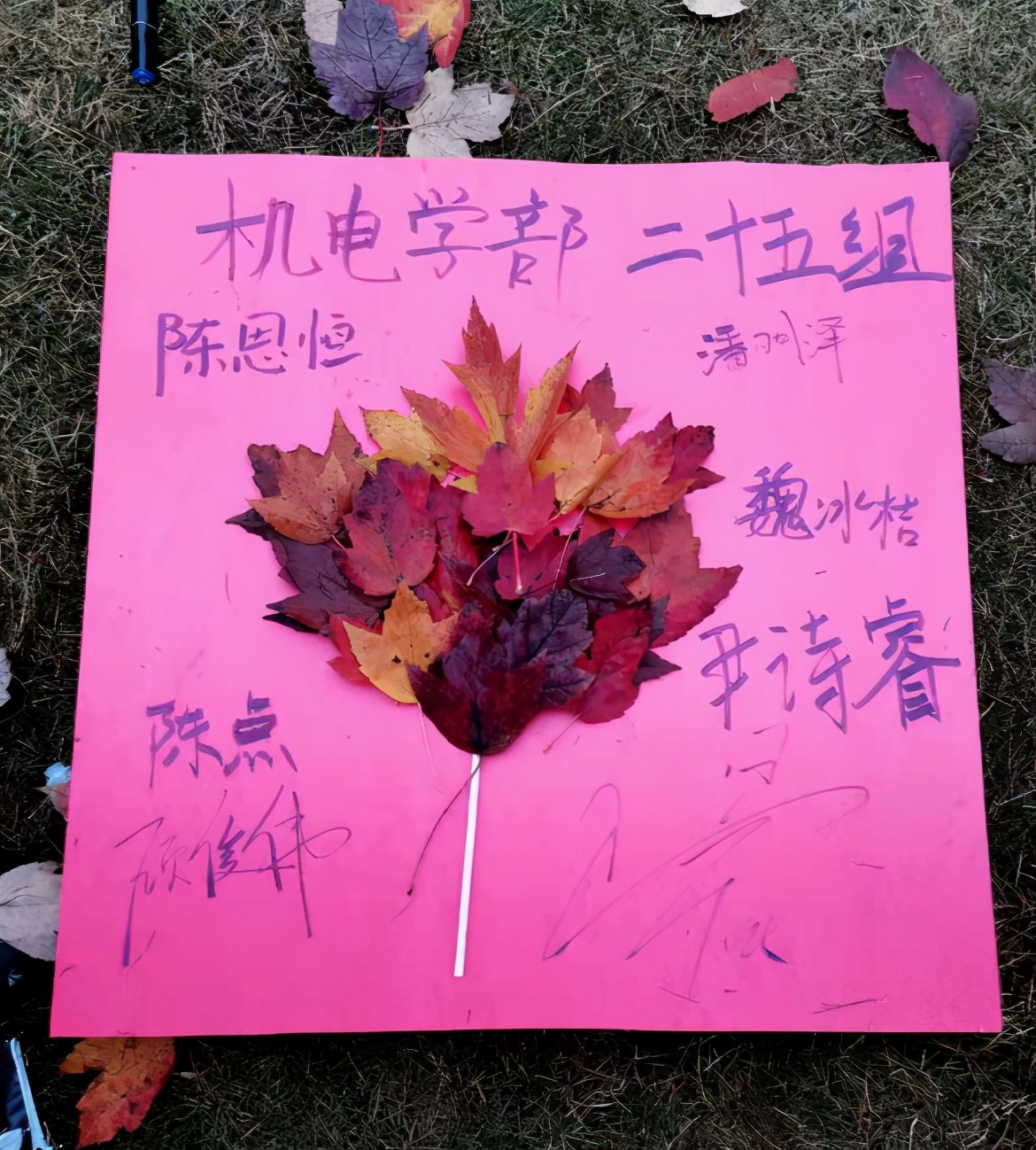 大学生枫叶创意画,用枫叶画画视频