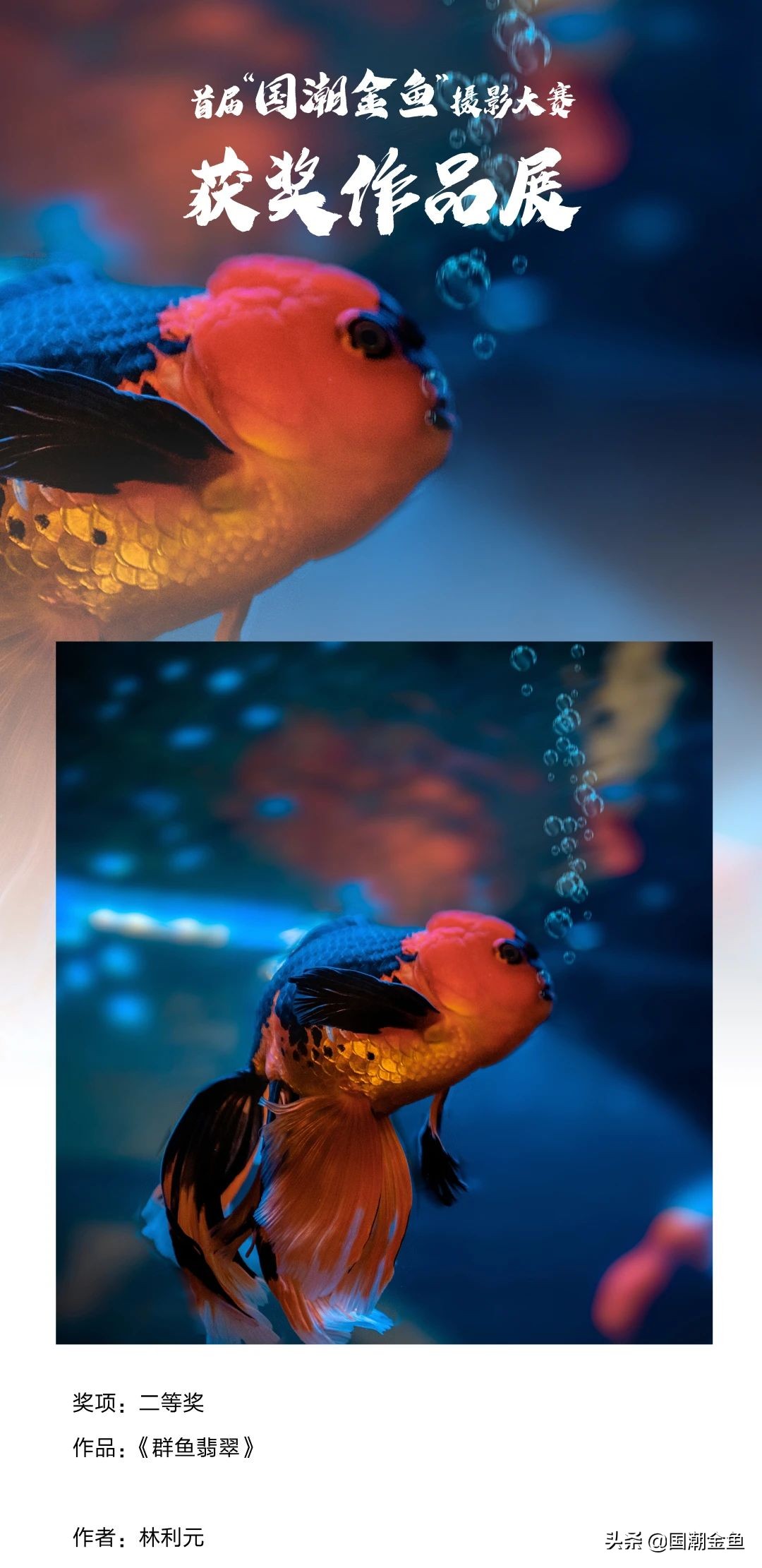 鍥芥疆閲戦奔鎽勫奖,涓浗閲戦奔鎽勫奖