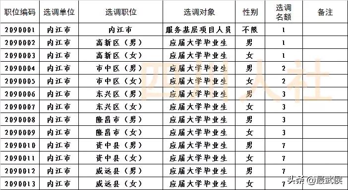 四川选调生2024公告职位表,四川选调生2024选调公告条件