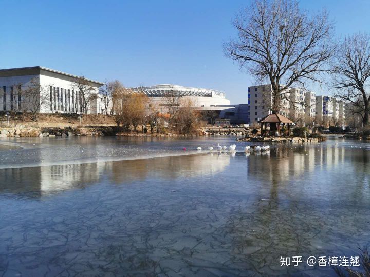 在大连的感受和生活,在大连生活怎么样