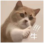 友邦寿险值得买吗,友邦重大疾病保险值得购买吗