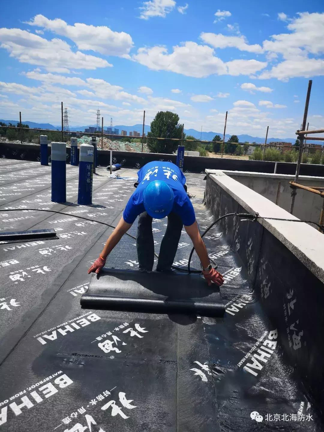 sbs防水卷材跟app防水卷材哪个贵,sbs防水卷材与app防水卷材