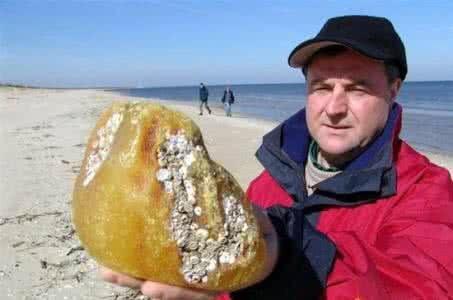 海边捡瓶子赚钱,国外捡蜜蜡