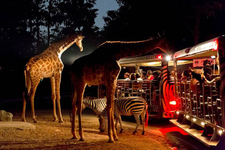 泰国清迈自由行旅游七天游,泰国清迈旅游白庙