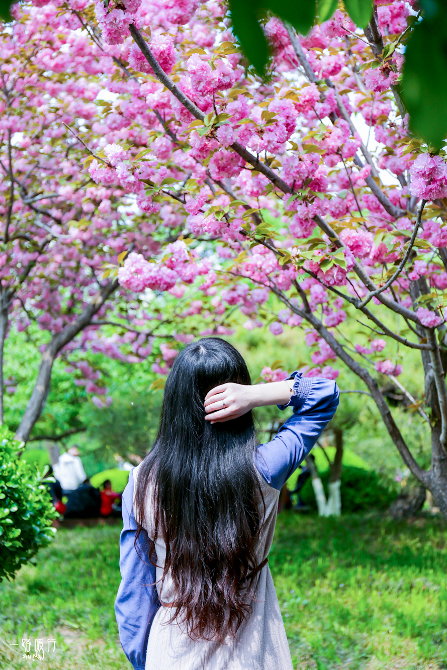 济南适合去的花海公园,济南春季公园有哪些景点