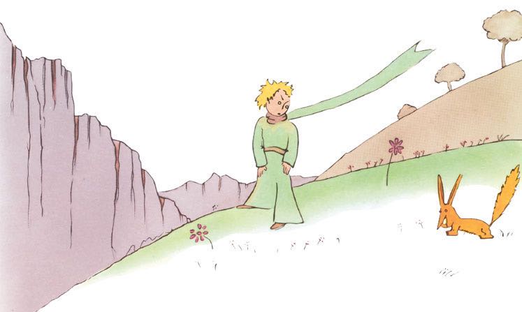 豆瓣9.0分的《小王子》：一本写给妈妈的书，请呵护好你的玫瑰