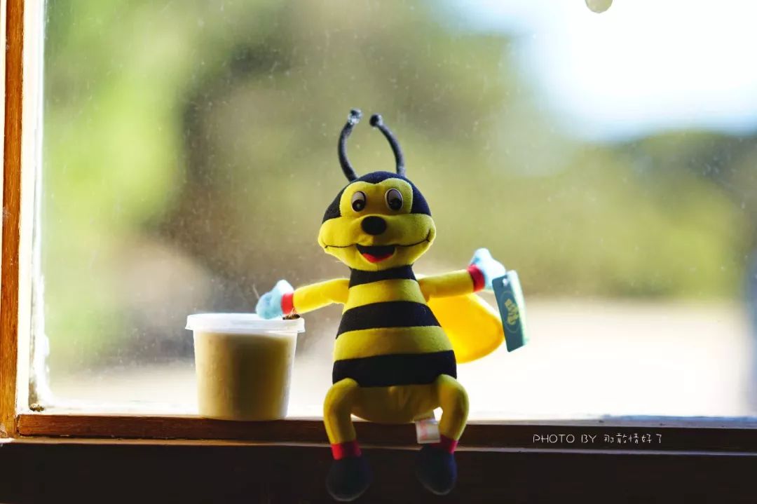 赴澳旅游注意，若带蜂蜜制品上岛，将被判两年监禁或8000澳元罚款