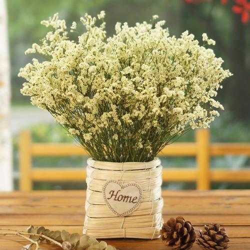 鲜花插花技巧专业术语,插花常见鲜花名称大全