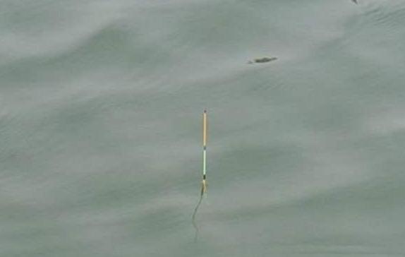 8字环走水钓法,8字环触底钓法