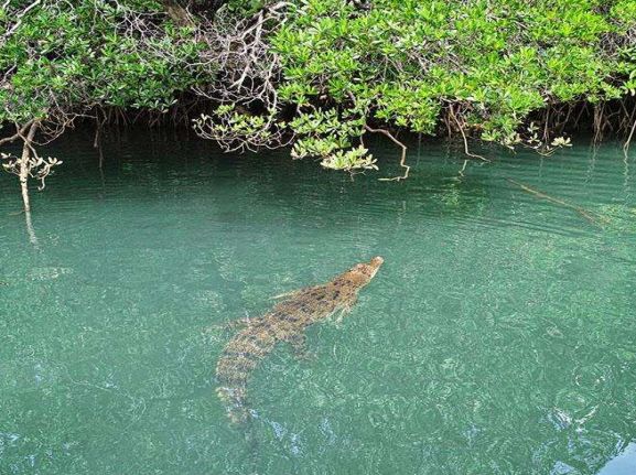 从A到Z，帕劳这个海岛国家远比你想象中更精彩