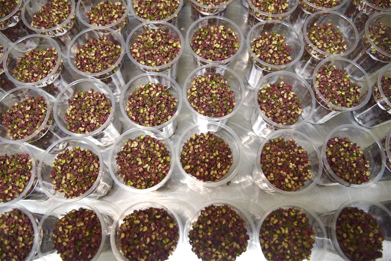 椒麻鸡开店创业,鹤壁豫哥麻椒鸡加盟要多少钱