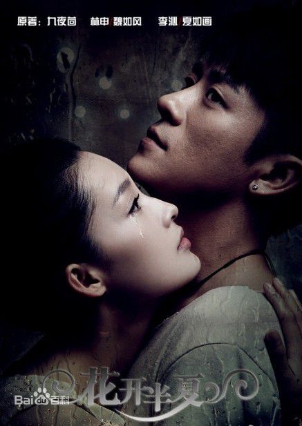 评分8.0以上的国产电视剧,电视剧豆瓣评分8.0以上的连续剧