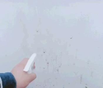 墙壁发霉怎么防止渗水,墙壁发霉怎么抹掉