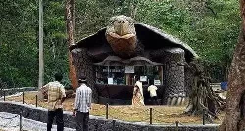 揭发史上最致命的旅游骗局 (国外旅游骗局大揭秘)