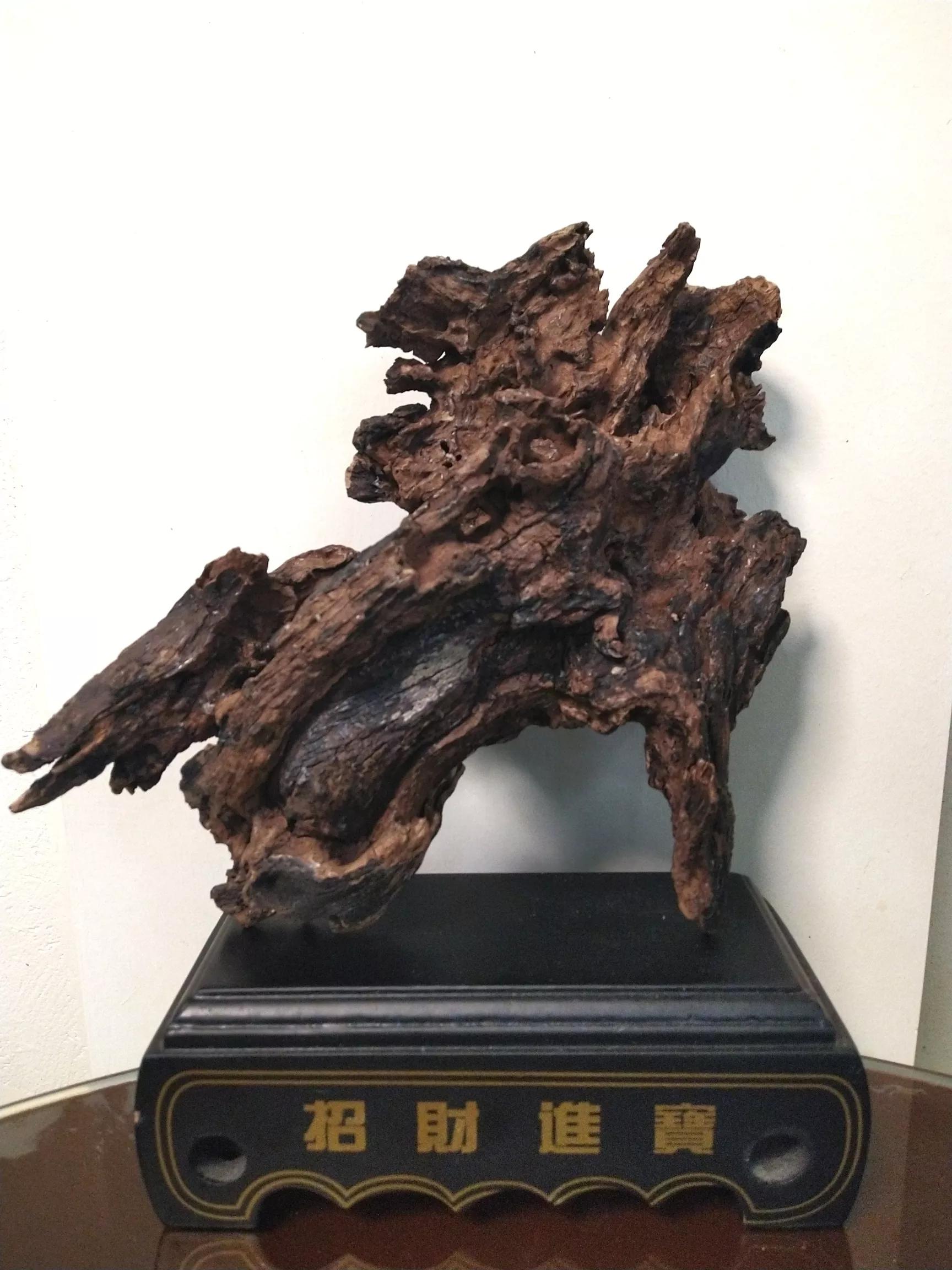 发现大自然的美的作文500字,发现大自然的美一篇作文