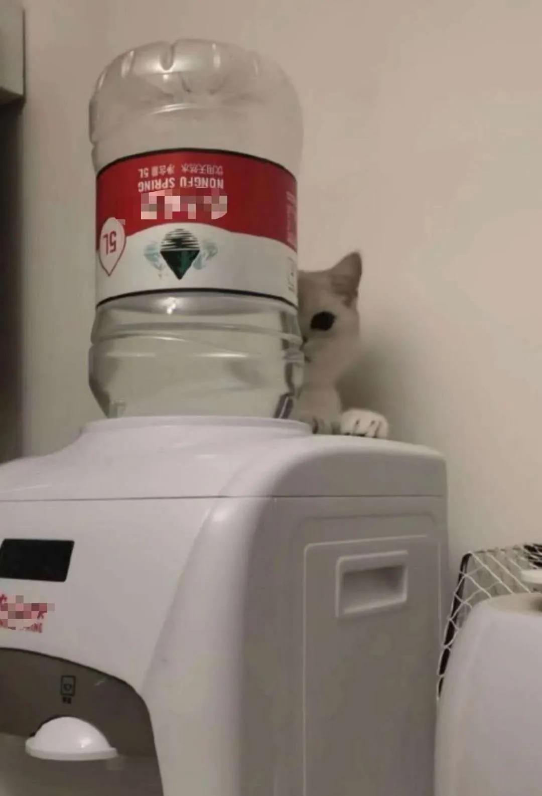 哈哈哈哈哈哈我笑到我妈把鞋塞我嘴里