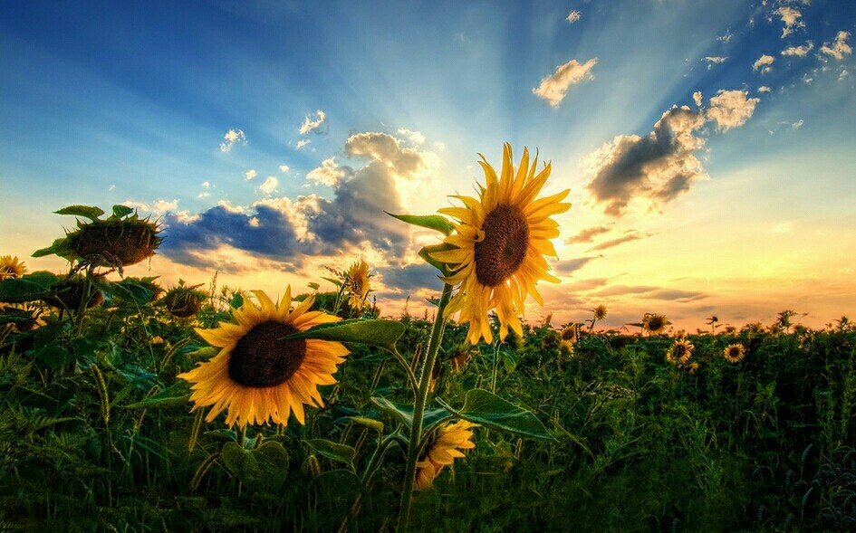 各种癌症骨转移的生存率有多高,癌症骨转移是最严重的吗