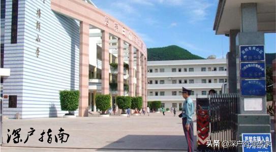 南山小学片区,小学干货推荐