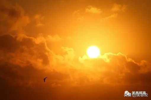 美容院怎么选？业内人士教你看门道