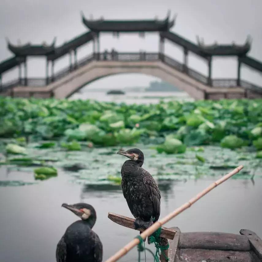 中国最富有的县有哪几个,中国最富有的地级市是哪里