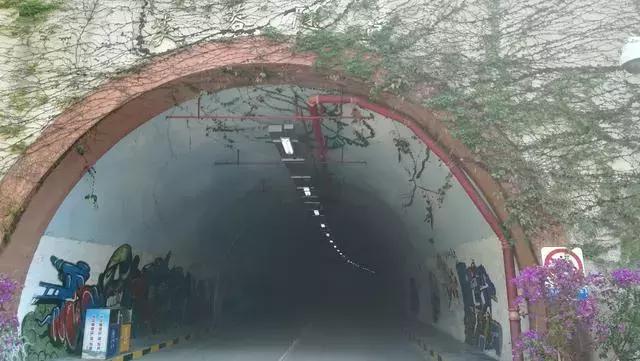 厦大后面的涂鸦隧道,厦大的涂鸦墙可以拍照吗