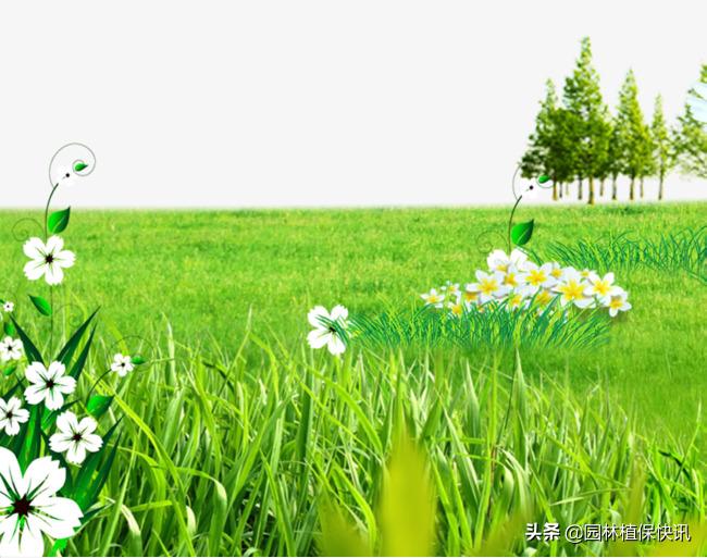 要想草坪养护好，这八点是不容错过的！