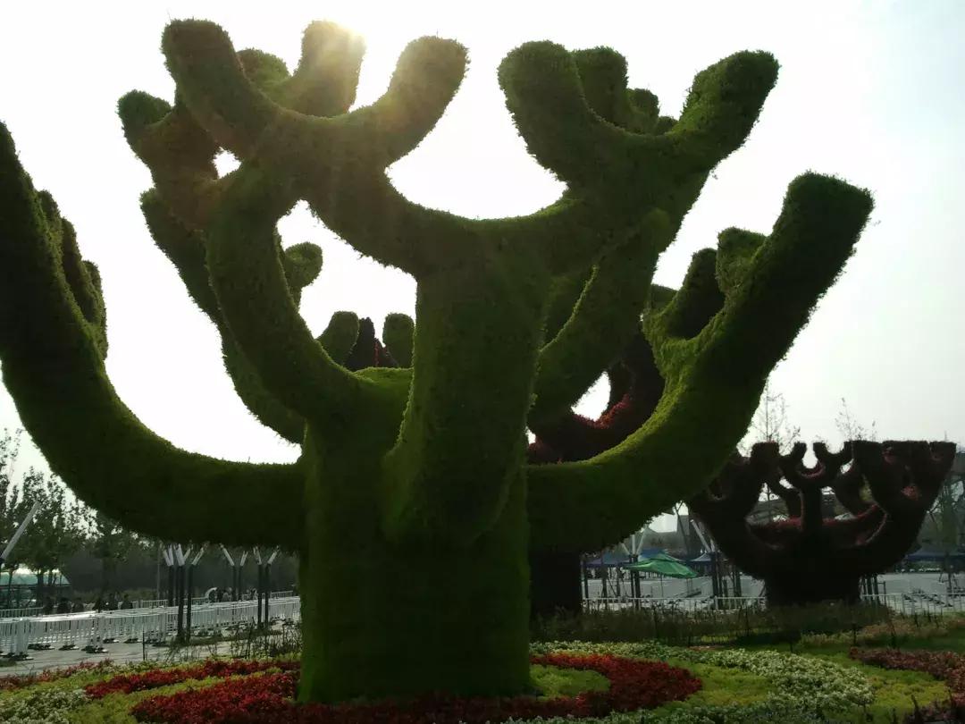 央视新闻直播西安夜景,央视直播西安奥体中心